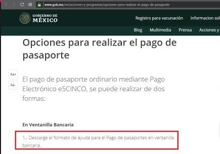 Formato De Pago Pasaporte Mexicano