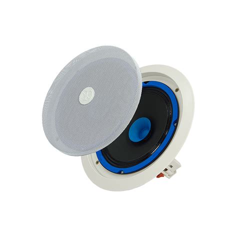 خرید و قیمت بلندگو سقفی 8 اینچ ا Ceiling Speakers 8 Inch ترب