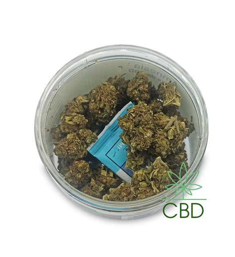 AMNESIA Fleurs De CBD 5g Le Chanvrier Suisse Folium Boutique