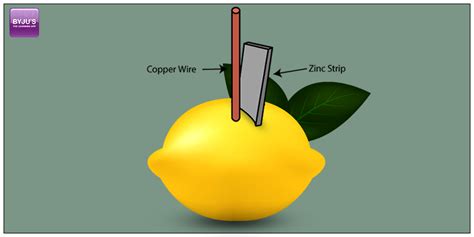 How Does A Lemon Battery Work