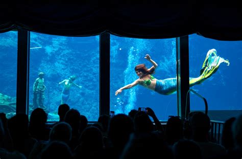 Mermaids Lair Gets Revamp At Weeki Wachee