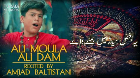 ALI MOLA ALI MOLA ALI DAM DAM AMJAD BALTISTANI WHATSAPP STATUS WITH