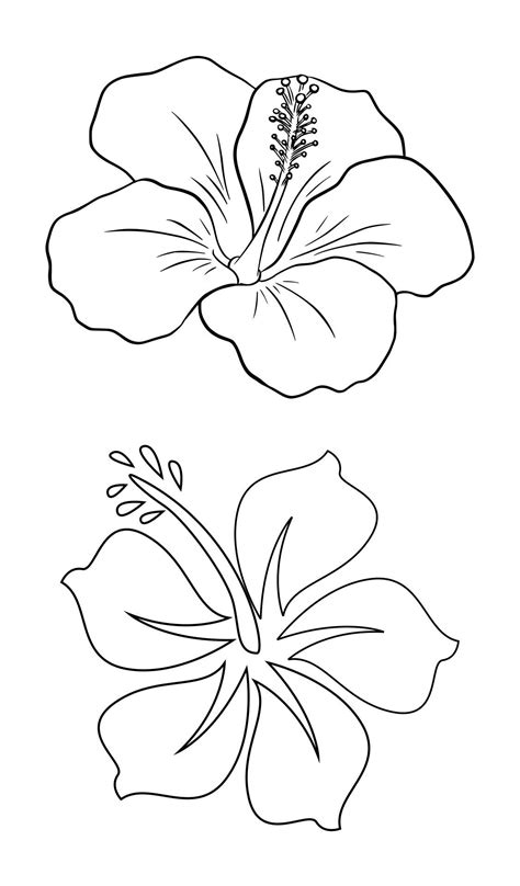 Hibiscus Flower Stencil Template Hibiscus Flower Drawing Tattoo