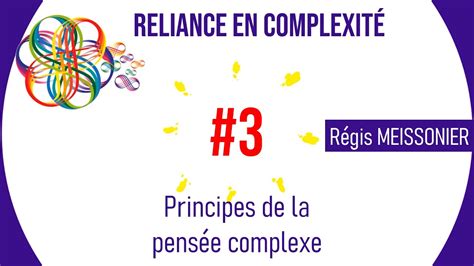 Principes de la pensée complexe Régis MEISSONIER YouTube