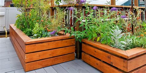 Build A Raised Garden Bed Step By Step Platt Hill Nursery Blog And Advice