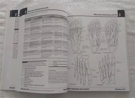 Netter Anatomia Para Colorir à venda em São Paulo Zona Leste São Paulo