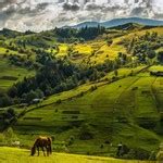 Для чого йти в похід в гори?