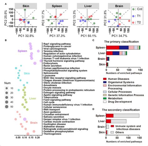 Results Of Comparative Transcriptomic Analyses A Principal