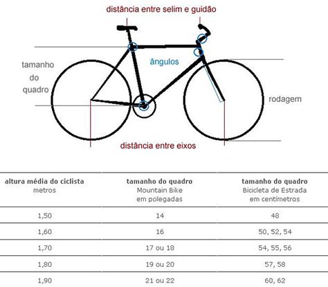 O Tamanho Correto Do Quadro Dicas Via Expressa Bike