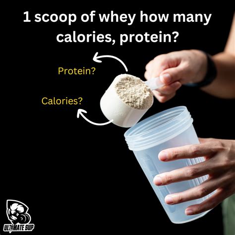 1 Scoop Of Whey Protein How Many Calories And Protein Does It Contain