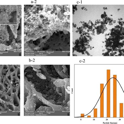 Sem Images Of The La Ba Coo A A And Ac B B Tem