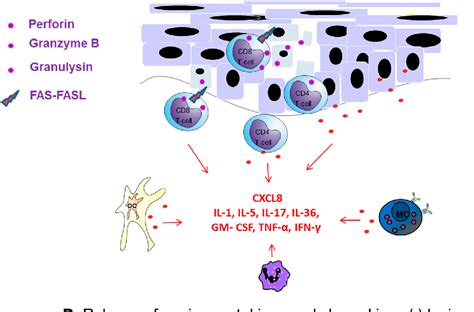 Acute Generalized Exanthematous Pustulosis Histology