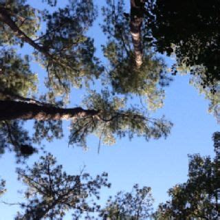 Rick, Brooke, Renee. Camping at santee state park in South Carolina ...