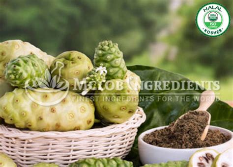 Buy Noni Fruit Juice Powder Noni Plant Root Bark Extract Supplement