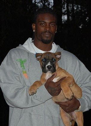 Michael Vick's dog-fighting pit bull Lucas 'who always had a smile ...