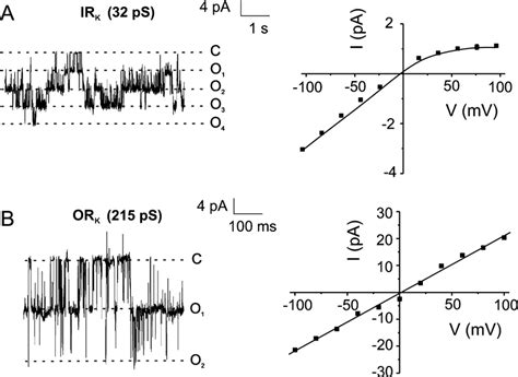 Single Channel Recordings In Human Colonic Crypts A Cell Attached