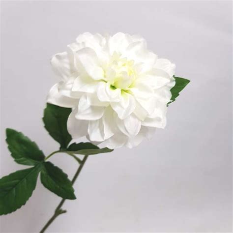 Dahlia Spray Medium White 62cm Desflora