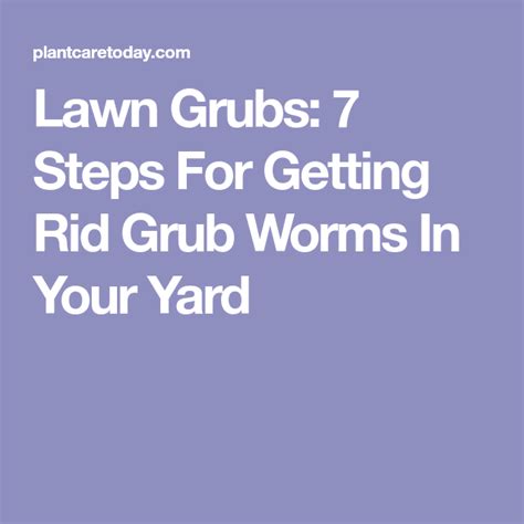 Lawn Grub Worm Control 10 Ways To Get Rid Of Grub Worms Grub Worms Grubs Worms