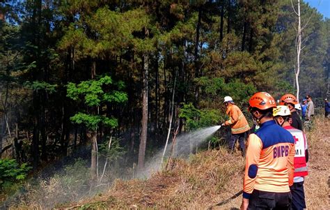 Pemkab Tim Gabungan Berhasil Padamkan Kebakaran Hutan Dan Lahan Di