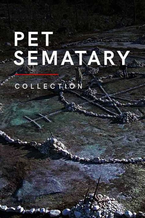 Pet Sematary Collection Homelessbrian The Poster Database TPDb