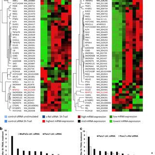 TRAIL sensitivity correlates with NF κB activity in PDAC cell lines a