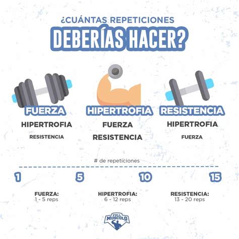 C Mo Organizar Mi Rutina De Entrenamiento Fullmusculo Rutina