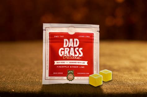 Deluxe Pineapple Ginger Lime Thc Cbd Gummies 2 Pack Dad Grass