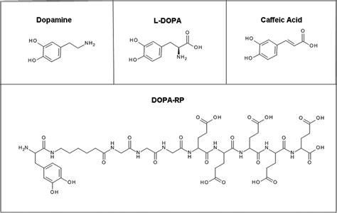 Chemical Structure Of Dopamine L Dopa Caffeic Acid And Dopa Rp Download Scientific Diagram