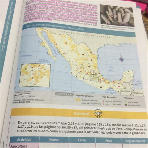 Pag 163 de geografía primero de secundaria por favor es para ahorita