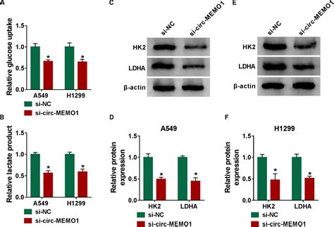 Frontiers Exosomal Circ MEMO1 Promotes The Progression And Aerobic