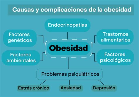 Arriba 79 Imagen Mapa Mental De Sobrepeso Abzlocal Mx