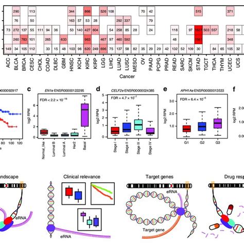 Clinically Relevant Ernas And The Erna Data Portal In Cancer Eric A