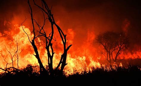 Siete Acusados Por Los Incendios En Las Islas Fueron Procesados Radio Unr