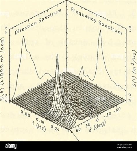 Frequency Direction Spectrum S D D Real Sea State Figure 2