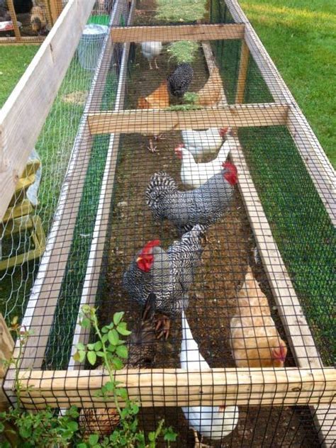 Special Chicken Run Ideas For Your Garden Decoration Home