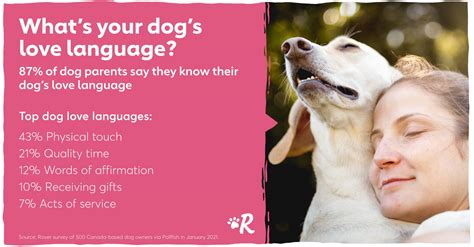 Decoding Your Dogs Language The Dog People Ca