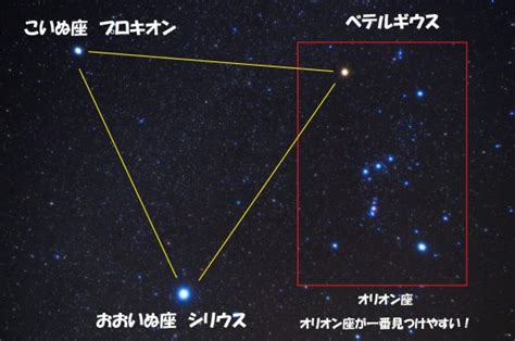 冬の大三角形の見つけ方・時期・方角・神話とは。冬の夜空を楽しもう 気になる話題・おすすめ情報館