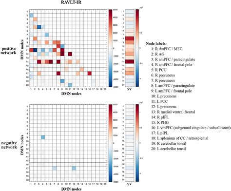 Frontiers Connectome Based Predictive Modeling Shows Sex Differences