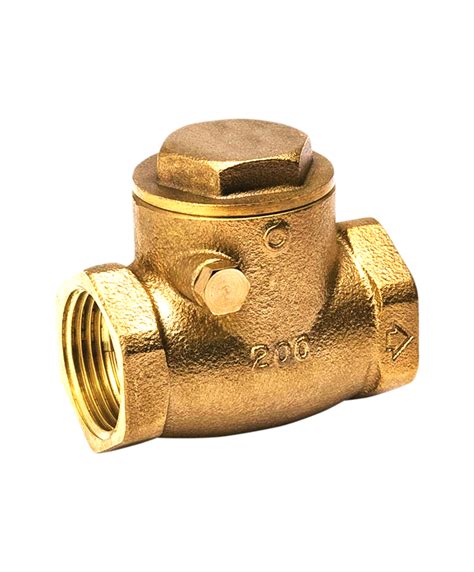 Jual Non Return Check Valve Pt Radiksa Adijaya Prakarsa