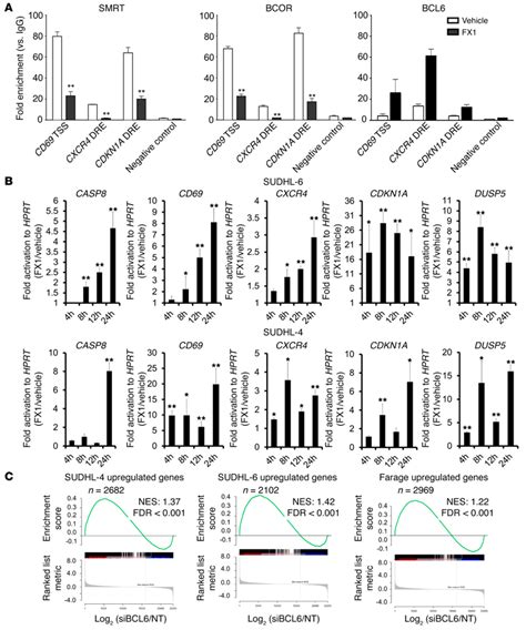 Fx Disrupts Bcl Repression Complexes And Induces Derepression Of Bcl