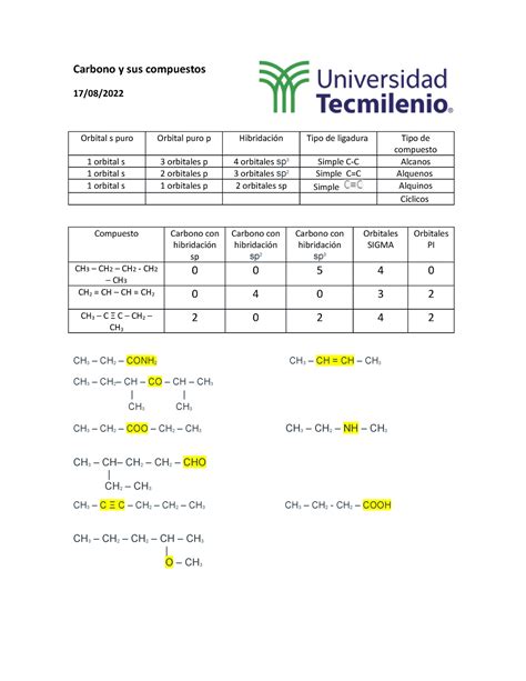 Carbono Y Sus Compuestos Ejercicio 4 Carbono Y Sus Compuestos 17 08
