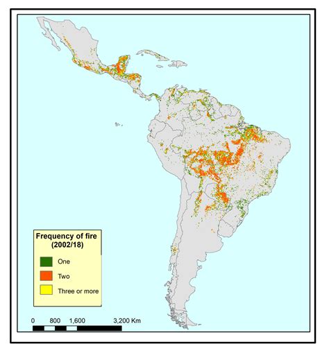 La Mitad De Los Bosques De Latinoamérica No Sobreviviría Por Los