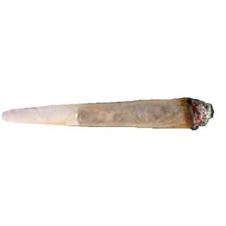 Blunt Transparent Background