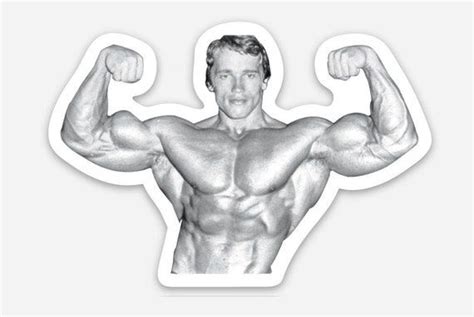 Arnold Schwarzenegger Sticker Bodybuilding Gym Sticker Etsy Arnold