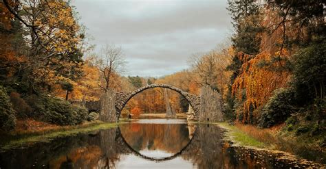 River in Forest in Autumn · Free Stock Photo