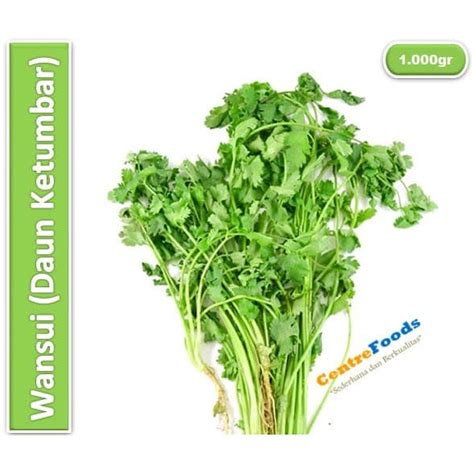 Jual Daun Ketumbar Fresh Wansui Coriander 1 000gr Harga Per KG