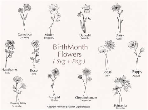 Birthmonth Flower SVG Flower Svg Birth Flowers Svg