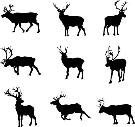 A Collection Of Vector Reindeers For Artwork Compositions