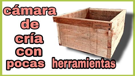 cámara de cría con pocas herramientas apicultura apismellifera