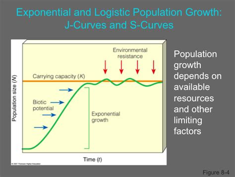 Apes Chapter Population Dynamics Sue O Bannon Library Formative